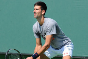 Djoković fonákságai