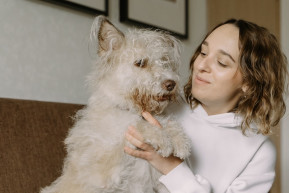 Kiégő állatvédők?