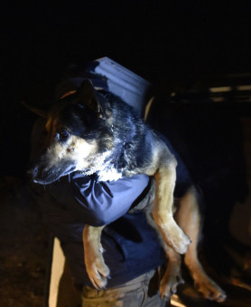 Nem minden mentési történet vége happy end