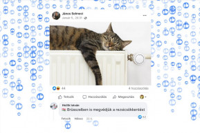 Így csinált hülyét a Facebook a politikából – Selmeci János jegyzete