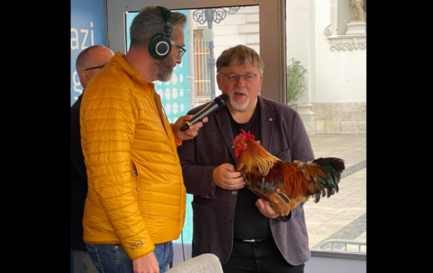 A győri polgármester beperelt egy lapot, mert angolul a cock nem csak kakast jelent