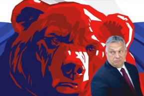 A medve nem játék – Kárpáti Iván jegyzete