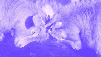 Kisszerű csatazaj – Hardy Mihály jegyzete