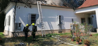 A kutyapártos Kovács hiába szólt a rendőröknek: hagyták, hogy megöljék ezt a férfit
