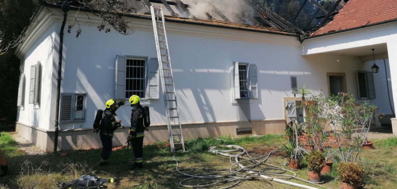 A kutyapártos Kovács hiába szólt a rendőröknek: hagyták, hogy megöljék ezt a férfit