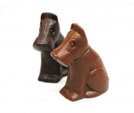 Tényleg árt a kutyáknak a csoki?