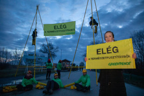 Udvaros Dorottyával álltak ki tiltakozni a Fertő-tónál a természetpusztítás ellen