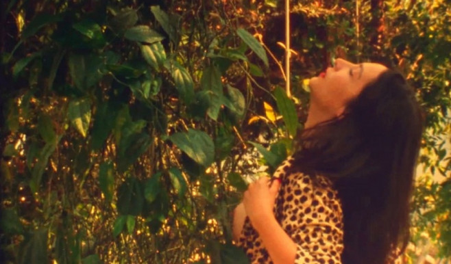 A Buharovok felemelkedése