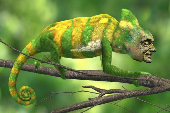 A szuverén kaméleon – Hardy Mihály jegyzete