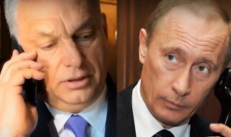 Rövid a póráz – Hardy Mihály jegyzete