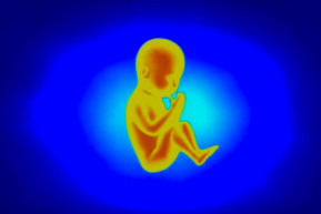 Menekülők – Szénási Sándor jegyzete