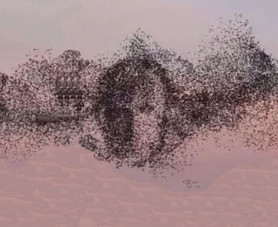 Kto vinovat? – Szénási Sándor jegyzete