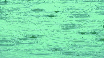 Semmi nem vesz minket igénybe jobban érzelmileg