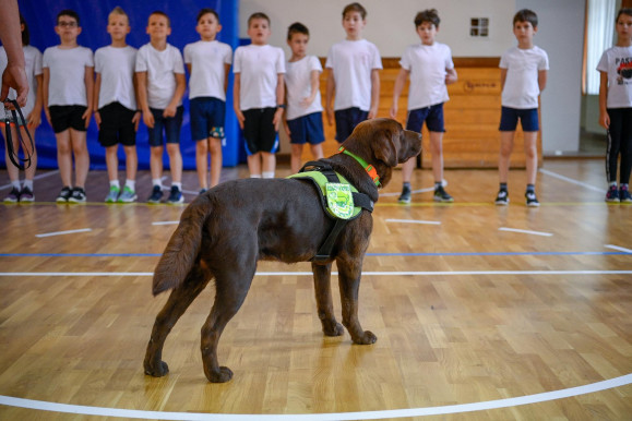 A politikusok már kimenekítették a gyerekeiket a közoktatásból