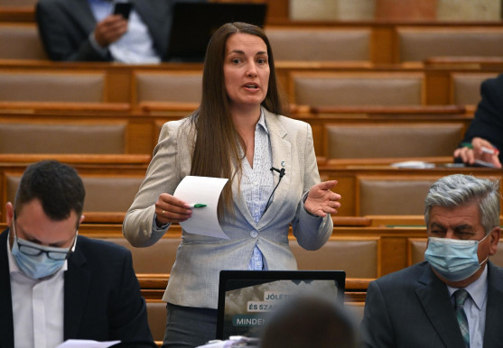 Ügyvezető elnök a Jobbik élén