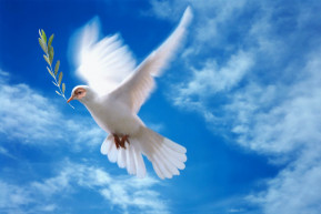 Orbán Viktor hazudik – Kárpáti Iván jegyzete