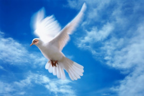 Az orosz állami hírügynökség a magyar médiahelyzetről érdeklődött – a Pesti Srácoknál