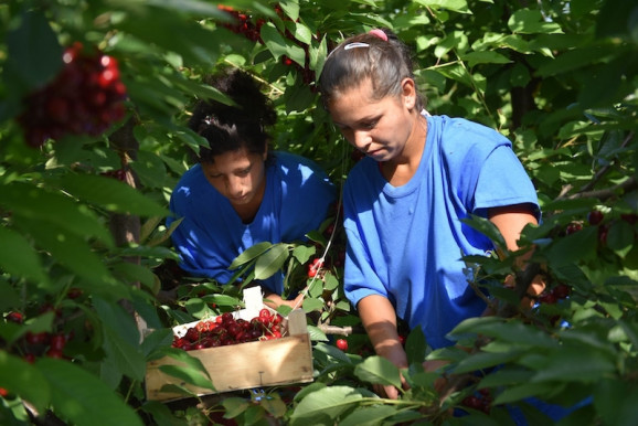 Kétszeresére nőnek az alkalmi munkák adóterhei