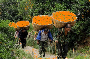 A diktatúrák nem akkor roppannak meg, amikor a legelviselhetetlenebbek – Kárpáti János jegyzete 