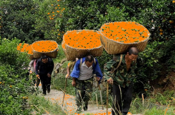 A diktatúrák nem akkor roppannak meg, amikor a legelviselhetetlenebbek – Kárpáti János jegyzete 
