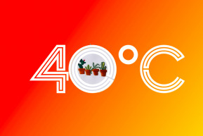 Izzadó bőrünkön érzékeljük a baj nagyságát – Hardy Mihály jegyzete