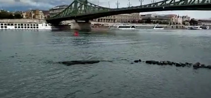 A Duna vízszintje 89 centiméterig apadt