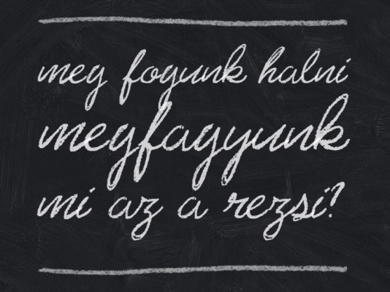 Becsöngettek, éhen fogunk halni – Selmeci János jegyzete