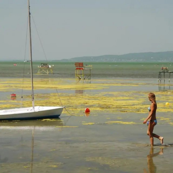 Meg kell szoknunk, hogy még sekélyebb a Balaton