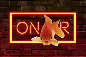 Vannak, akik... – Selmeci János jegyzete