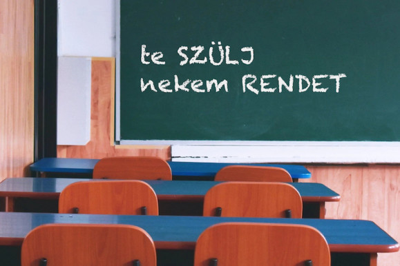 Gomba jégeső után – Dési János jegyzete