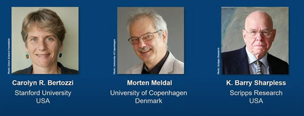 Molekulaépítők kapták a kémiai Nobel-díjat