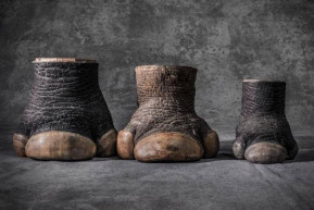 A természetvédő természetfotós