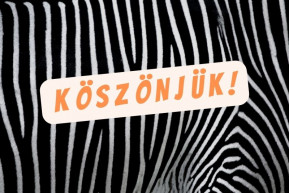 Rekordösszeg a Klubrádió 2022-es őszi túlélési gyakorlatán