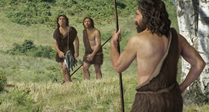 Az evolúciót követhetjük nyomon a DNS-sel