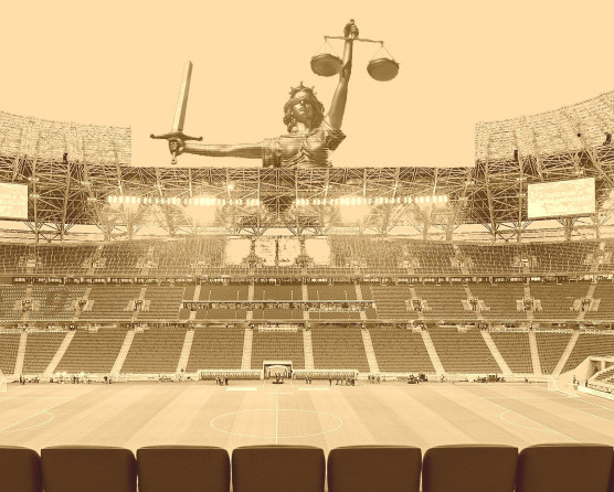 Integritásért felelős stadionügyi főhatóság – Selmeci János jegyzete