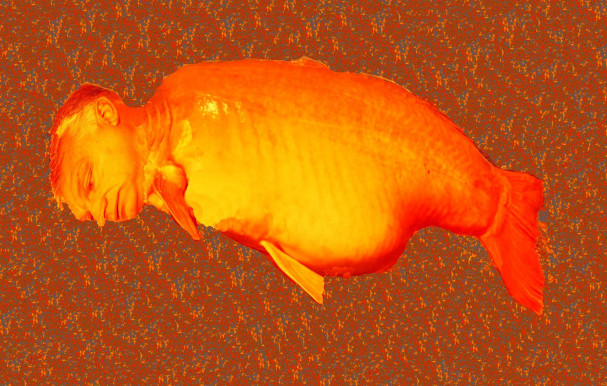 A fej, a rohadás és a hal – Dési János jegyzete 