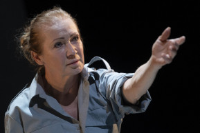 Udvaros Dorottya a fecskék védelme miatt állt bíróság elé