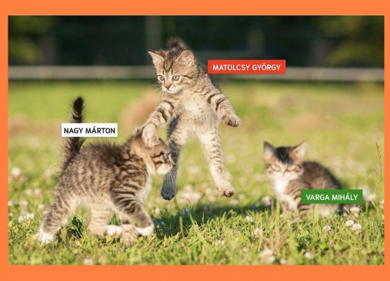 A nagy monetáris cicaharc – Kárpáti Iván jegyzete