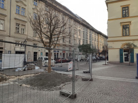 Belváros: három fa 111 millió forintért