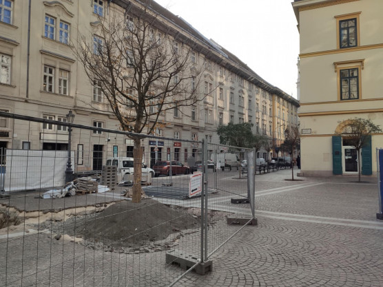 Belváros: három fa 111 millió forintért