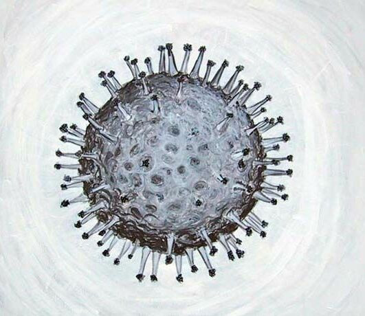 Szabolcsban már megjelent a madárinfluenza