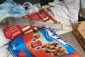 Fenyítőkábellel és bozótvágóval rontott embertársára a dühödt veszprémi agg