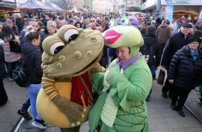 Dr. Alban lesz a Kocsonyafesztivál szenzációja  