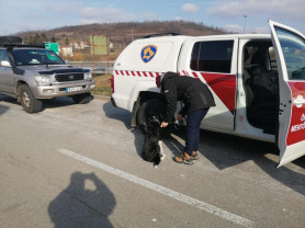 Keresőkutyák is kísérik a Törökországi mentésben résztvevő budapesti önkénteseket