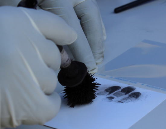 Gázpisztollyal lőtte meg a verekedőt a szépkorú egy miskolci villamosmegállóban 