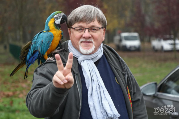 Dézsi Csaba András luxusautójáért közel egymilliót fizet havonta a győri önkormányzat