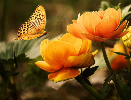 Minden rendben, megkapta a környezethasználati engedélyt a debreceni akkugyár