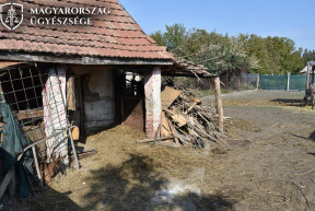 Állattartási konfliktus: összekarmolta a szomszédját, karóval rontott a jegyzőre a fékezhetetlen akasztói nő