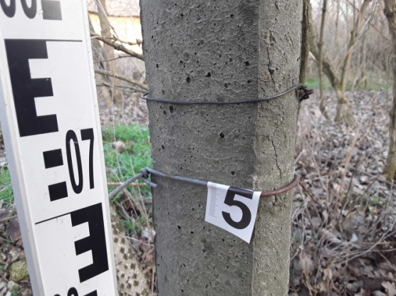 Hónapokig lopta egy üzem drótkerítését a hódmezővásárhelyi szépkorú  