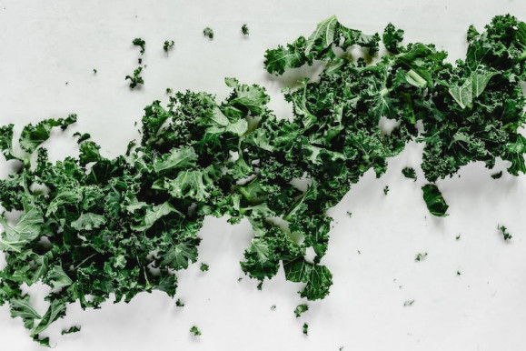 Kelkáposzta – Józsa Márta jegyzete